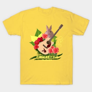 acoustic guitar player T-Shirt